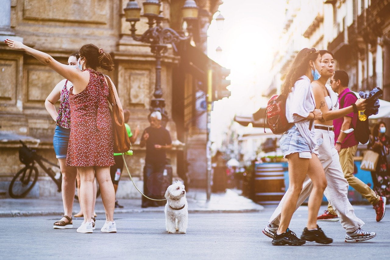 a group of people walking down a street with a dog