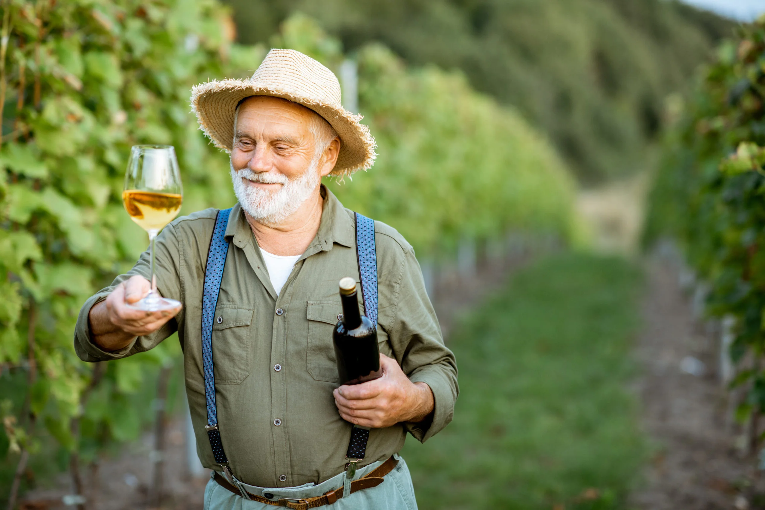 Senior winemaker with wine on the vineyard